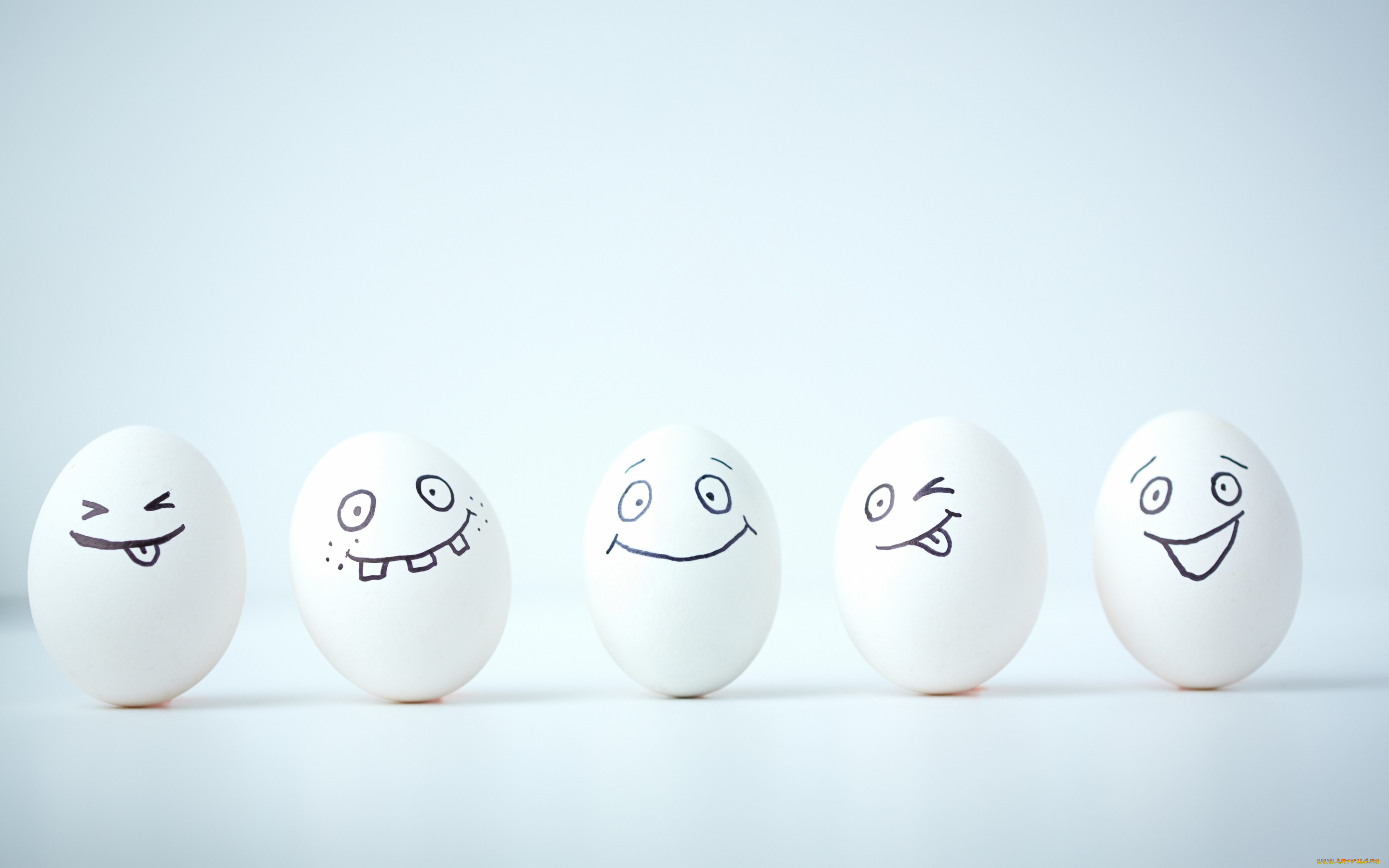 , , , , , eggs, smile, funny, face